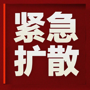 多个华人社团发起成立“加油武汉-加拿大联盟”筹募资金和物资支援武汉