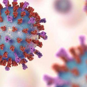 武汉肺炎病毒依然神秘