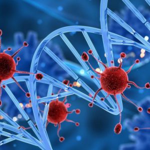 【最新消息】武汉病毒正式命名为SARI属SARS进化病毒