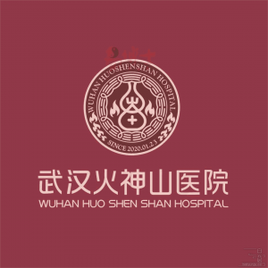 10天竣工的火神山医院 看得人头皮发麻,其中的艰辛和力量远超我们想象