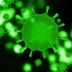 大多地区(GTA) 疫情报告,多伦多确诊2065例, 约克区今日新增23例