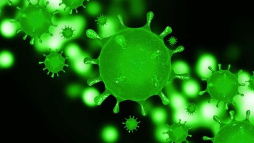 大多地区(GTA) 疫情报告,多伦多确诊2065例, 约克区今日新增23例