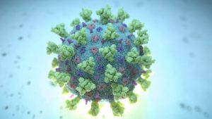 科学家发现病毒最危险毒株 主要分布在这些国家