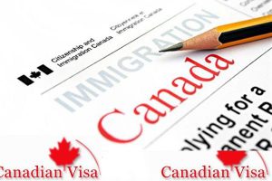 加拿大重新开放在中国的10个签证中心,没有武汉