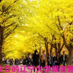 辽宁大学北美校友会理事会选出新一届理事会