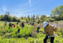 “种下绿林,树立友爱” – 多伦多贵州同乡会植树活动