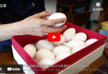 蛋雕—非物质文化遗产系列产品介绍之一