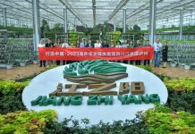 海外华文媒体探访泸州旅游业:寻找“天人合一”与“古今交融